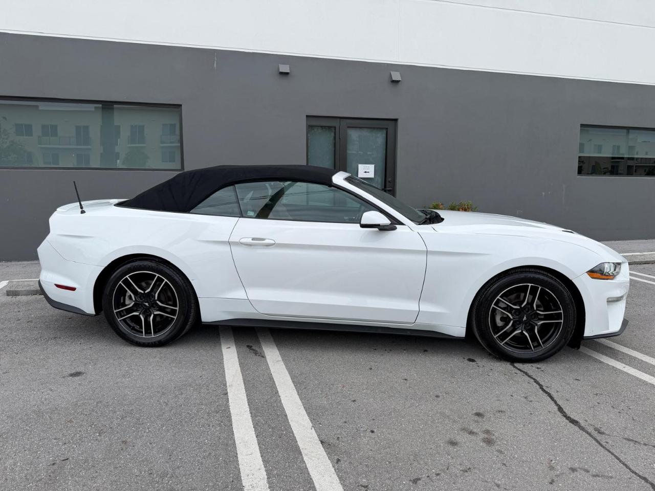 Ford Mustang EcoBoost Convertible 2019