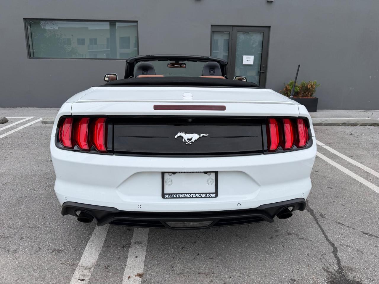 Ford Mustang EcoBoost Convertible 2019