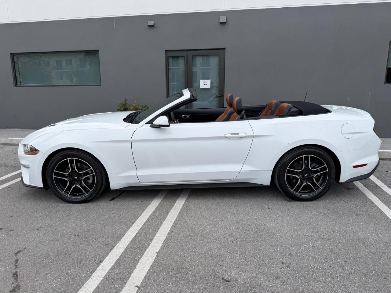 Ford Mustang EcoBoost Convertible 2019