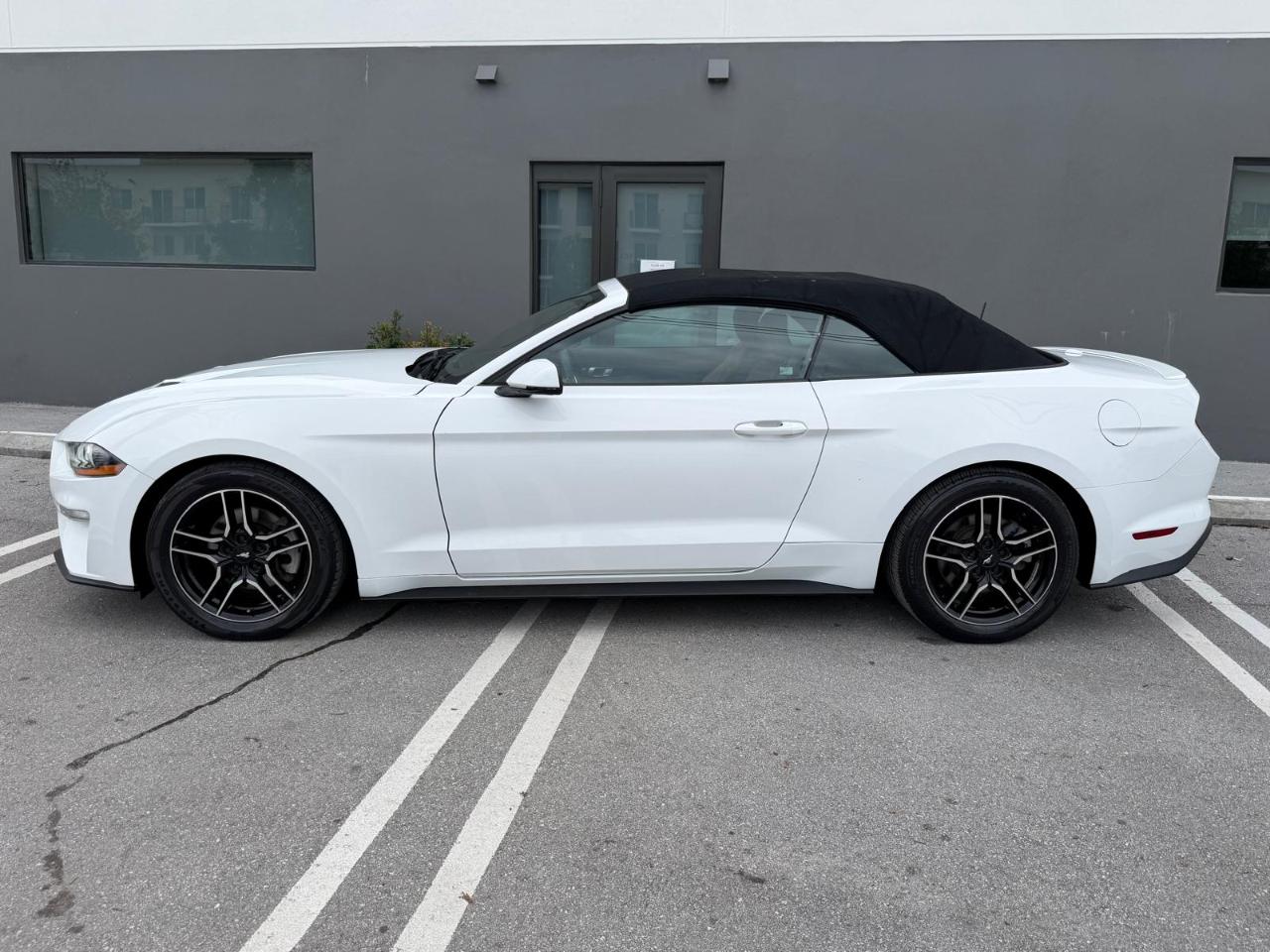 Ford Mustang EcoBoost Convertible 2019