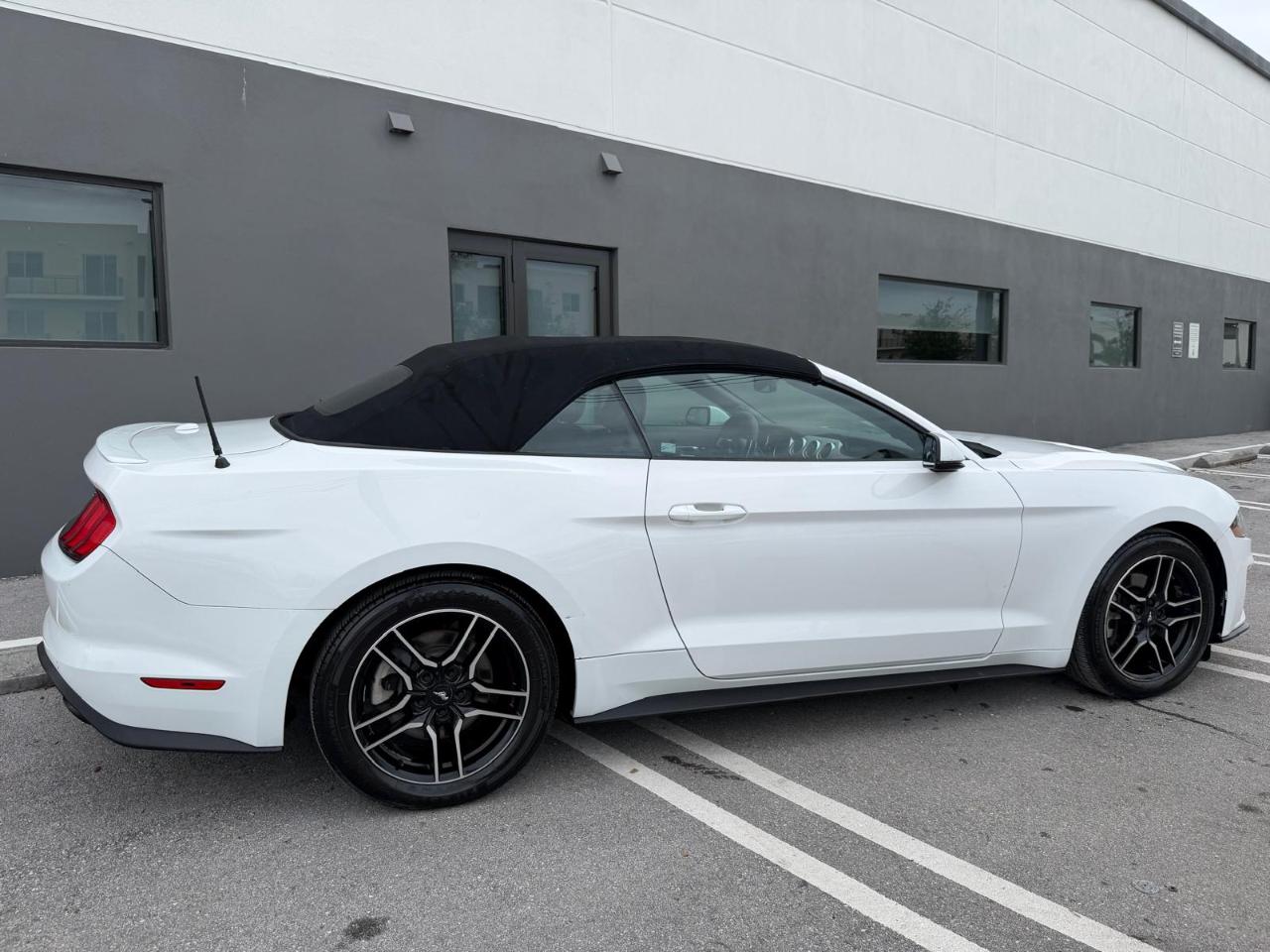 Ford Mustang EcoBoost Convertible 2019