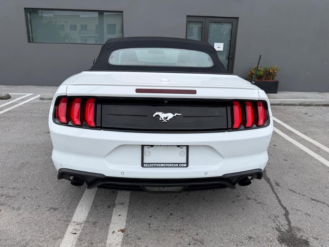 Ford Mustang EcoBoost Convertible 2019