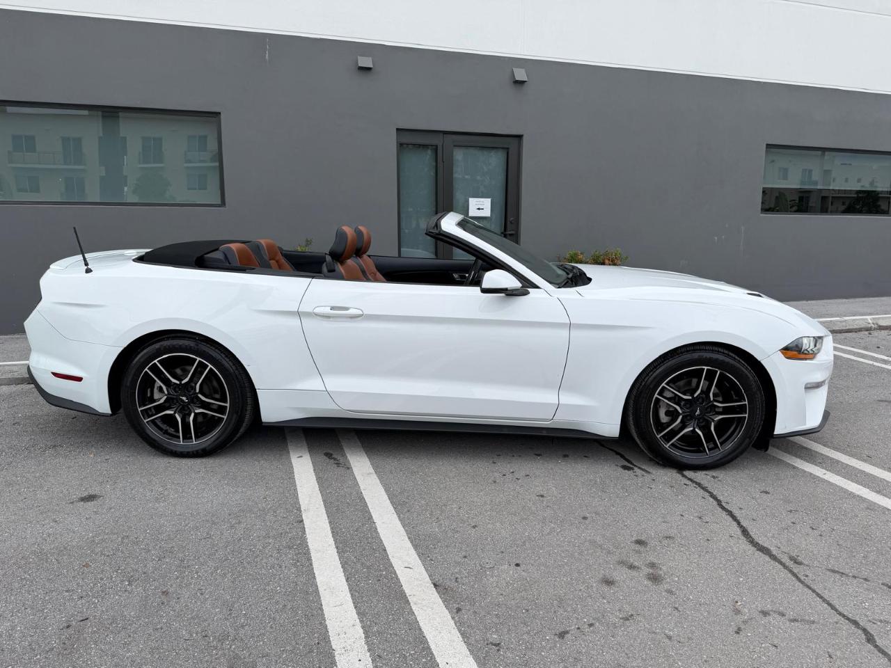Ford Mustang EcoBoost Convertible 2019