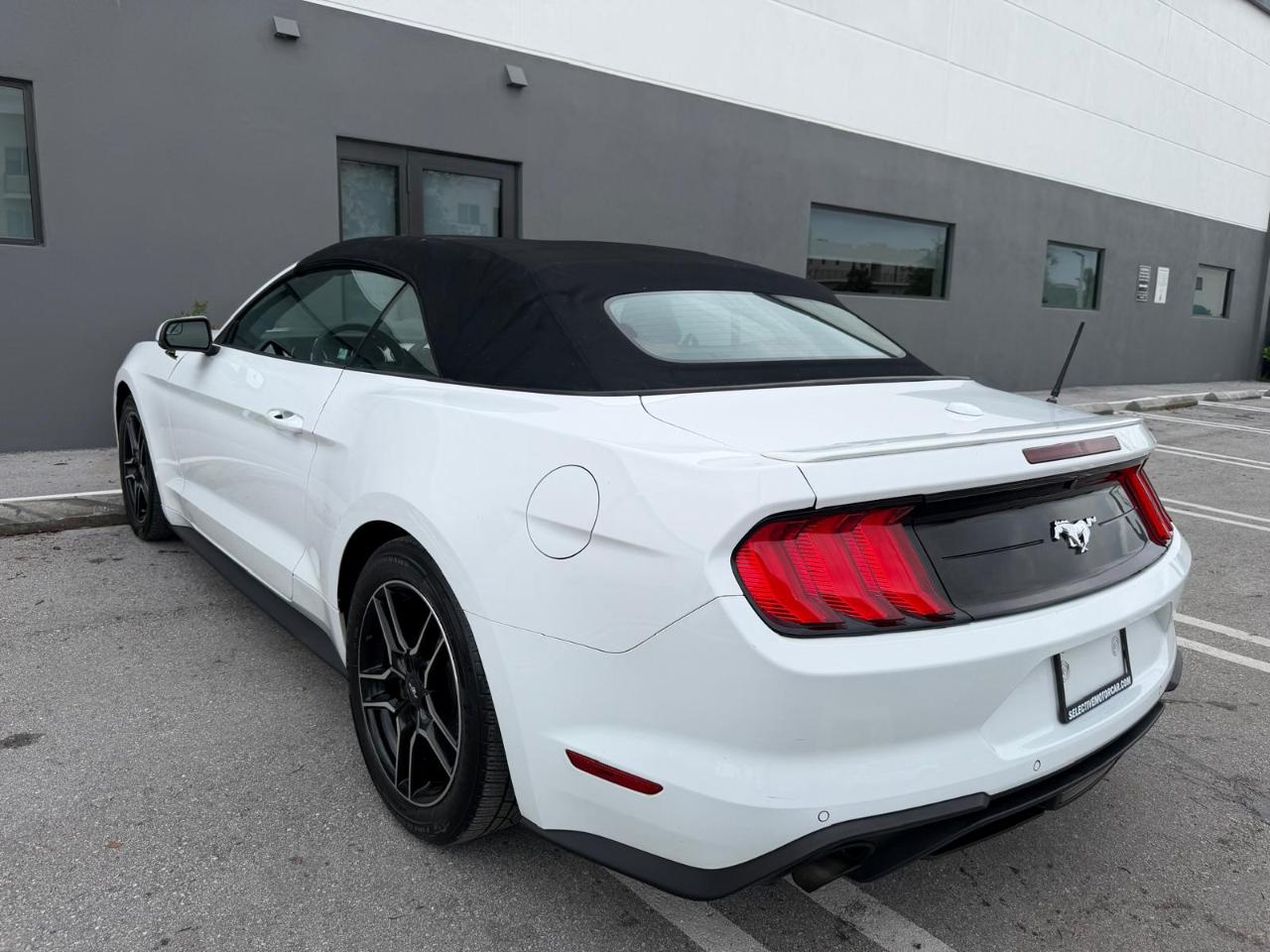Ford Mustang EcoBoost Convertible 2019
