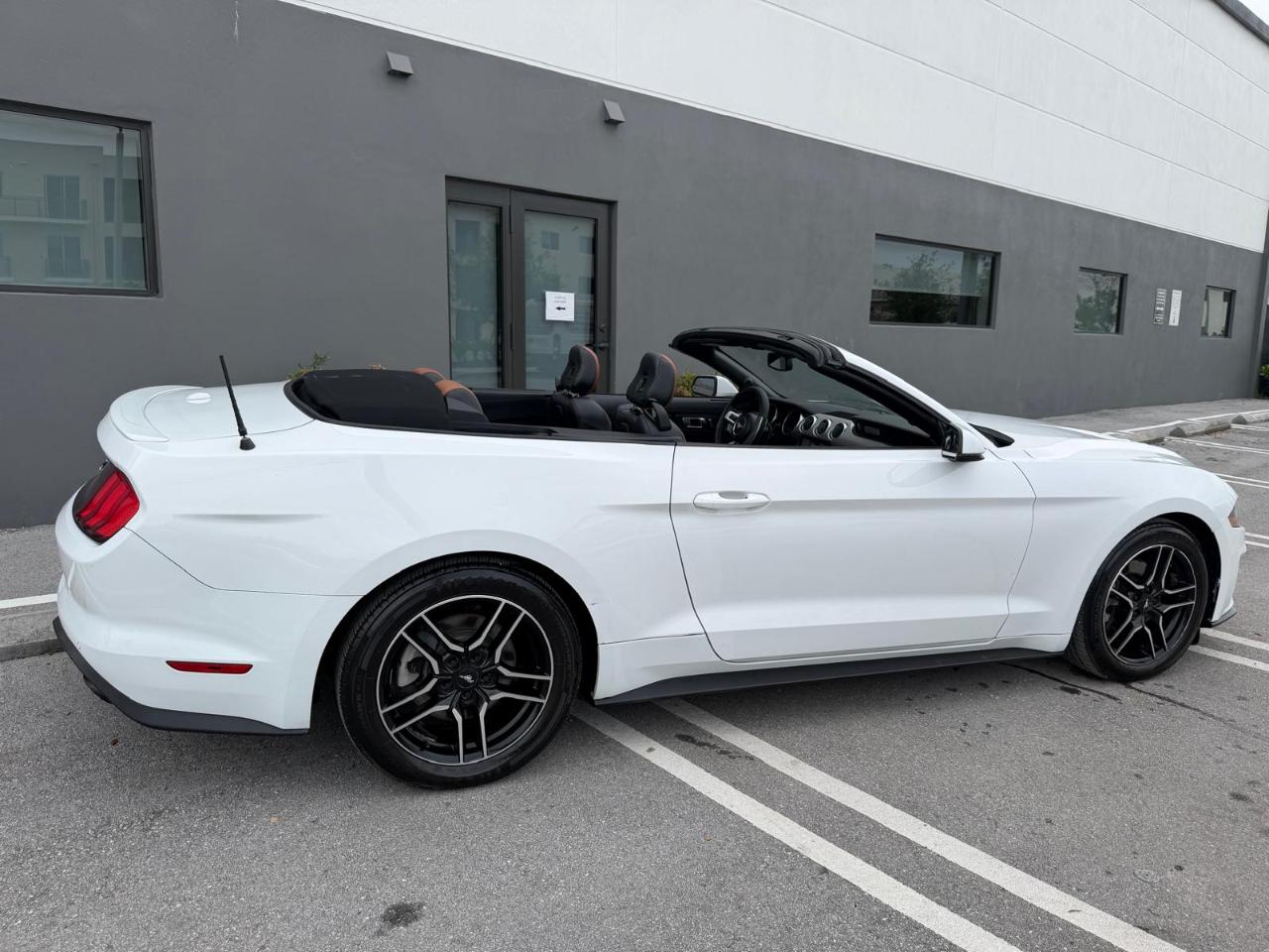 Ford Mustang EcoBoost Convertible 2019