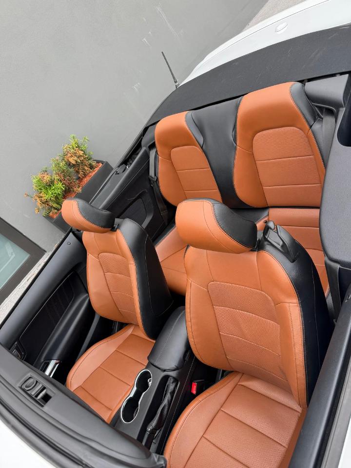 Ford Mustang EcoBoost Convertible 2019