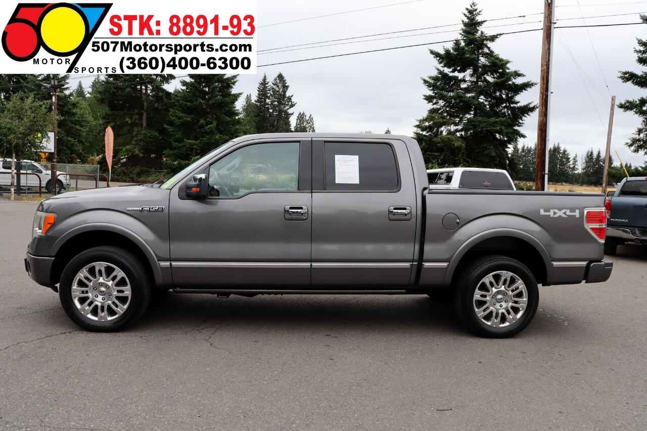 2010 Ford F-150 Platinum photo 2