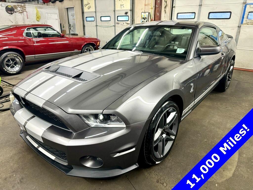 2010 Ford Shelby GT500 Shelby GT500