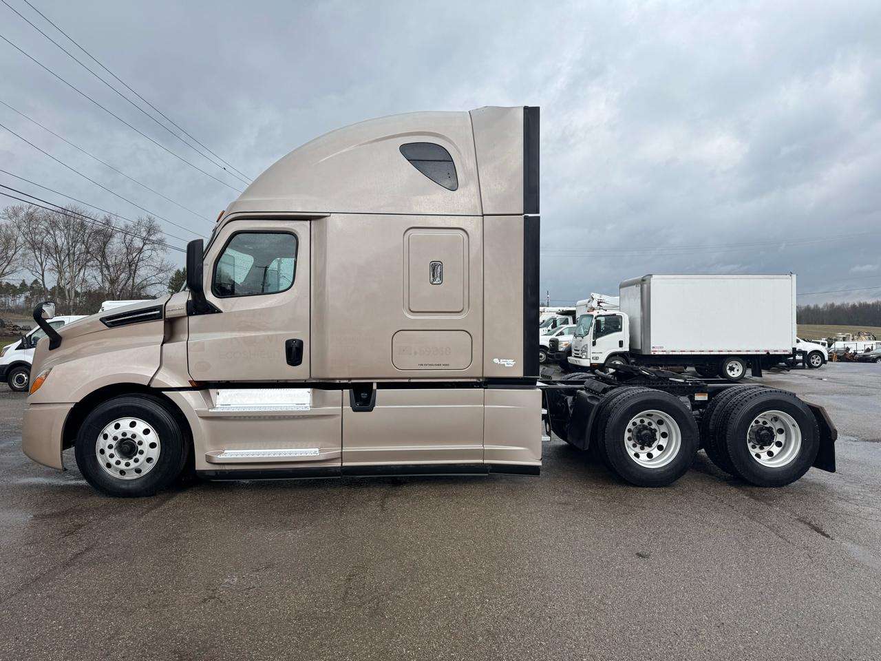 Freightliner Cascadia  2019