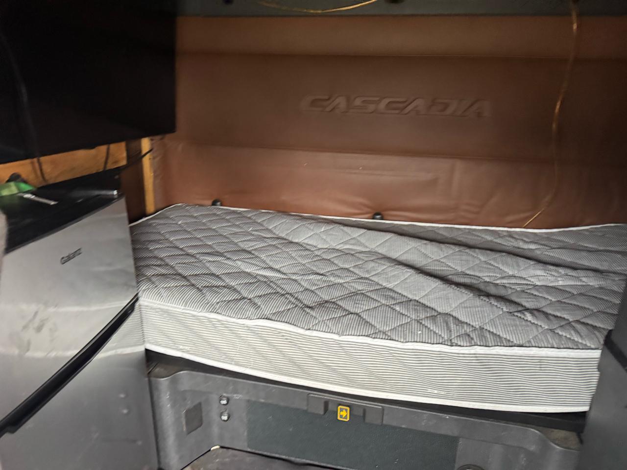 Freightliner Cascadia  2019