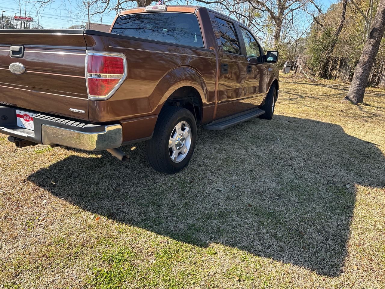 Ford F-150 XLT SuperCrew 5.5-ft. Bed 2WD 2011