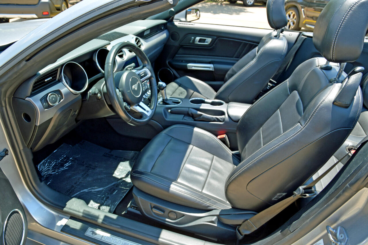 Ford Mustang EcoBoost Convertible 2022 Ford Mustang EcoBoost Convertible 2022
