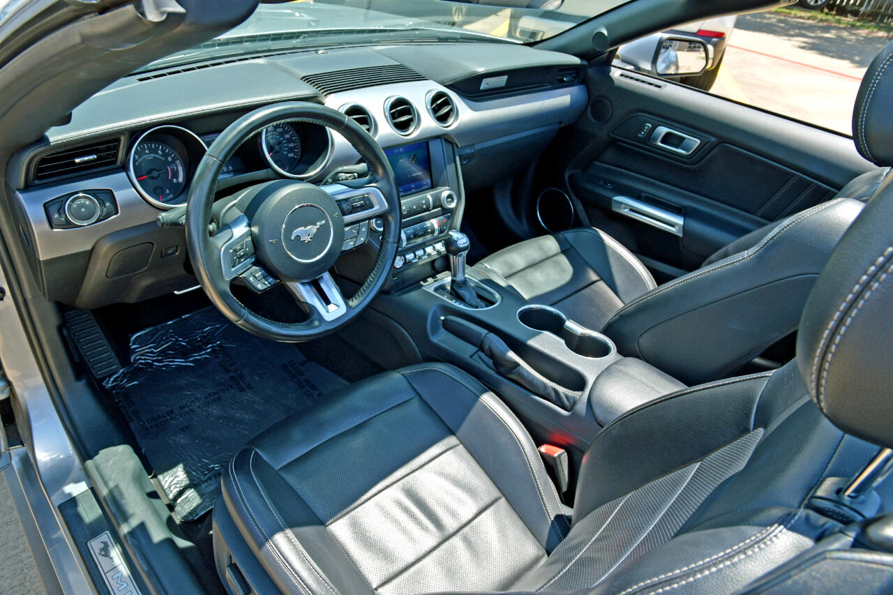 Ford Mustang EcoBoost Convertible 2022 Ford Mustang EcoBoost Convertible 2022