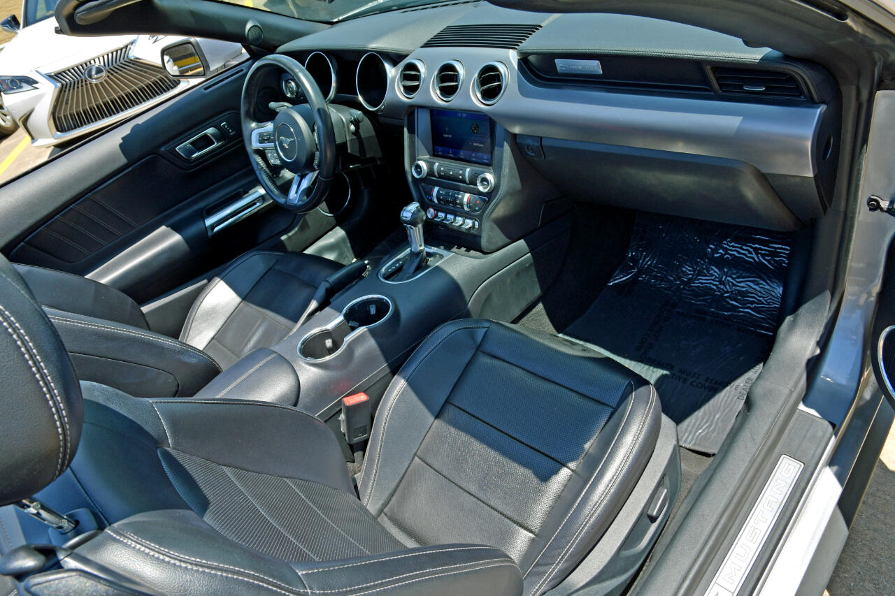 Ford Mustang EcoBoost Convertible 2022 Ford Mustang EcoBoost Convertible 2022
