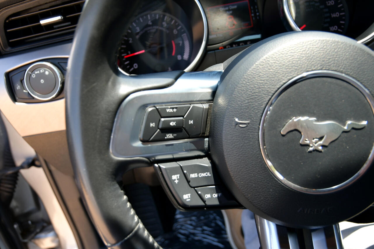 Ford Mustang EcoBoost Convertible 2022 Ford Mustang EcoBoost Convertible 2022