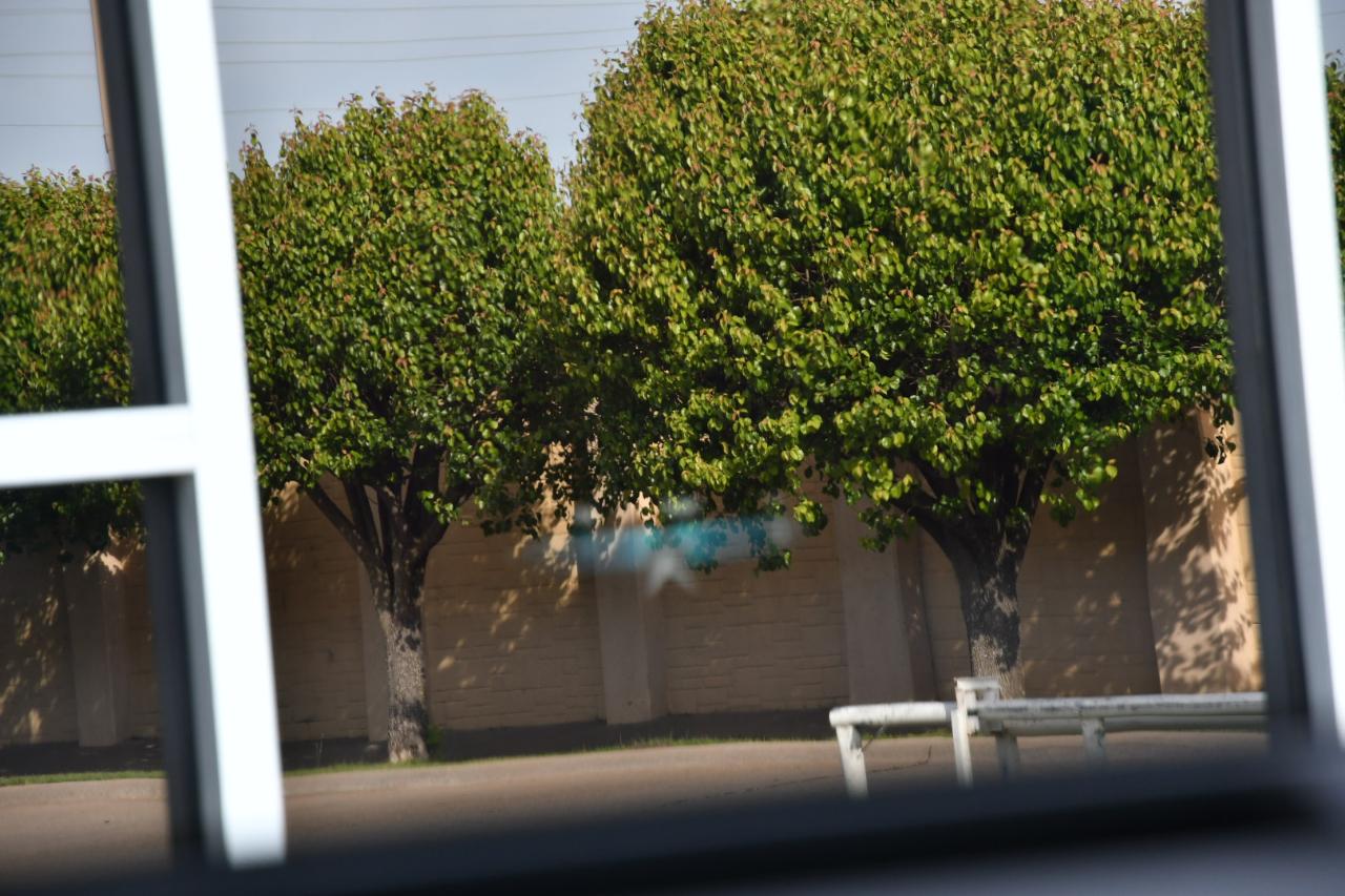 BMW X3 30 xDrive Sports Activity Vehicle 2026