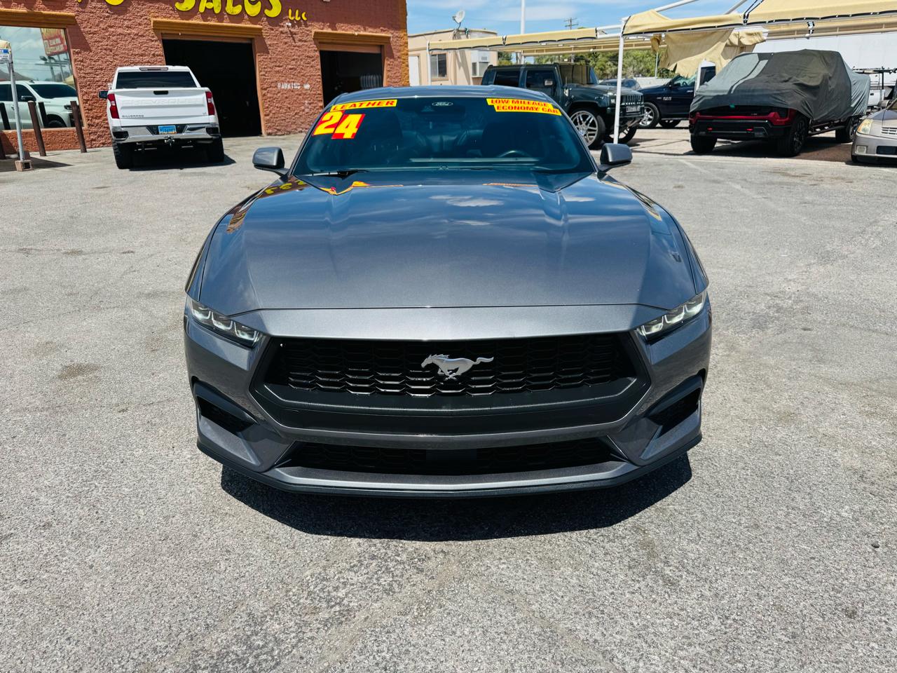 Ford Mustang EcoBoost Fastback 2024