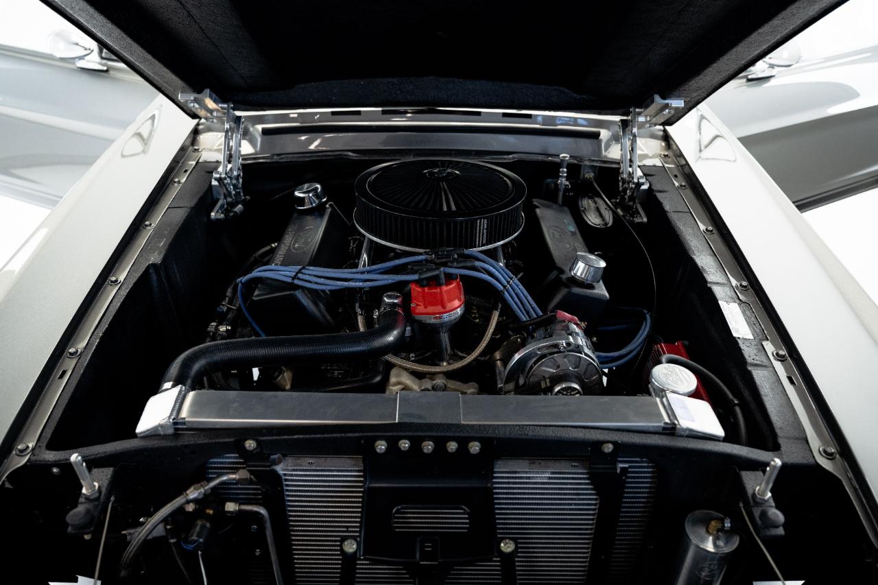 Ford Shelby GT350  1967