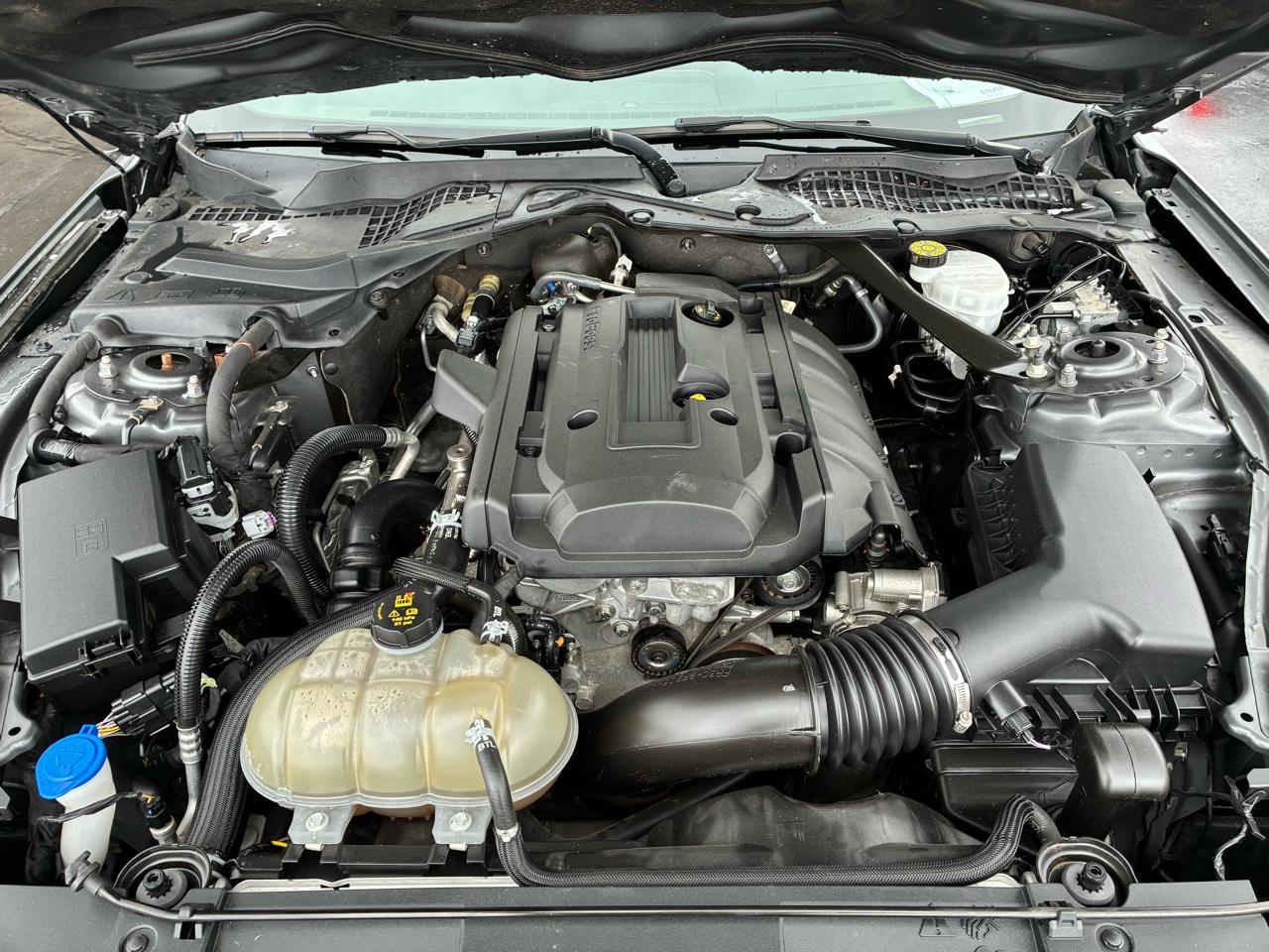 Ford Mustang EcoBoost Premium Convertible 2022