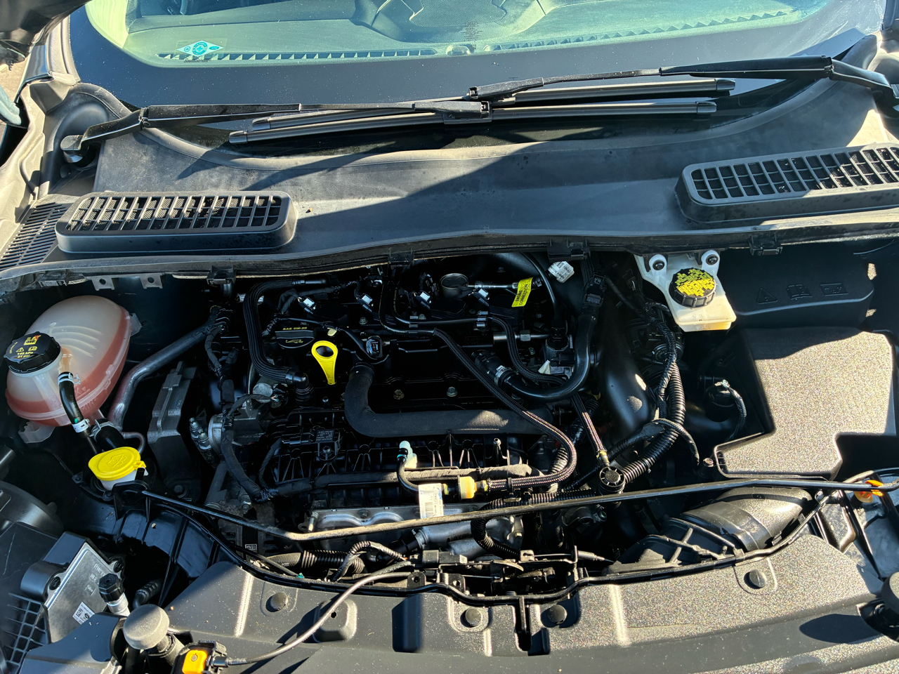 Ford Escape SEL 4WD 2019