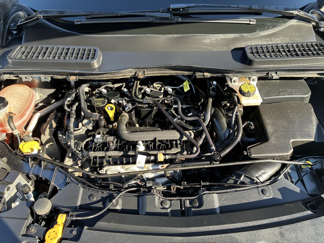 Ford Escape SEL 4WD 2019