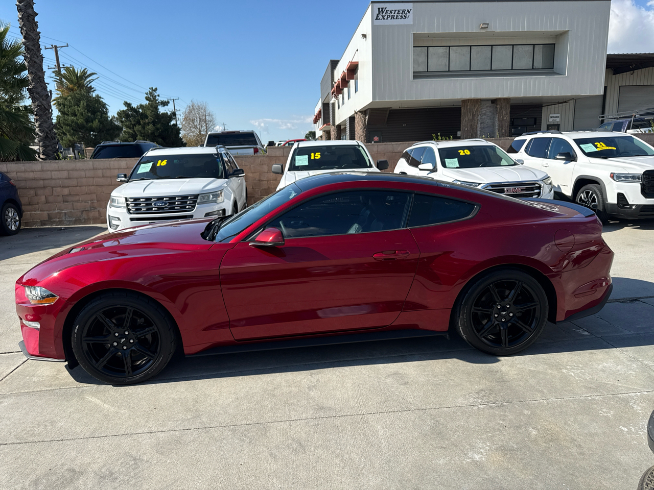 Ford Mustang EcoBoost Fastback 2019