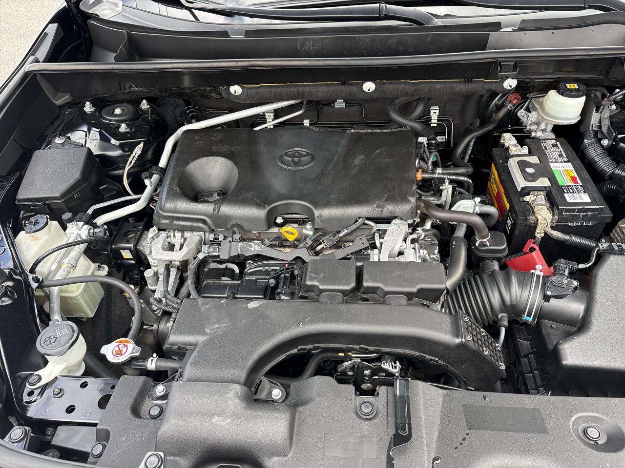 Toyota RAV4 XLE Premium 2019