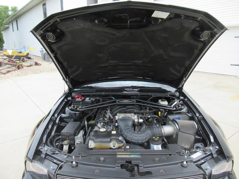 Ford Shelby GT  2007