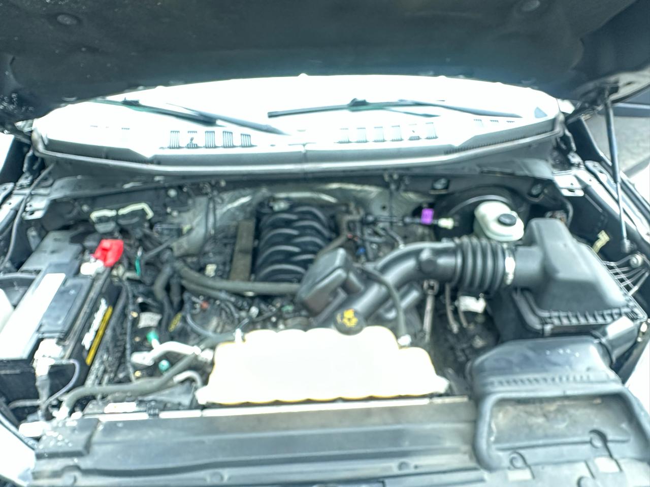 Ford F-150 XLT SuperCrew 6.5-ft. Bed 2WD 2017