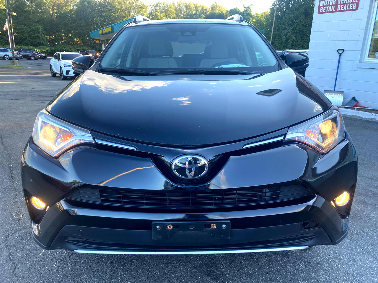 2018 Toyota RAV4 Adventure photo 2