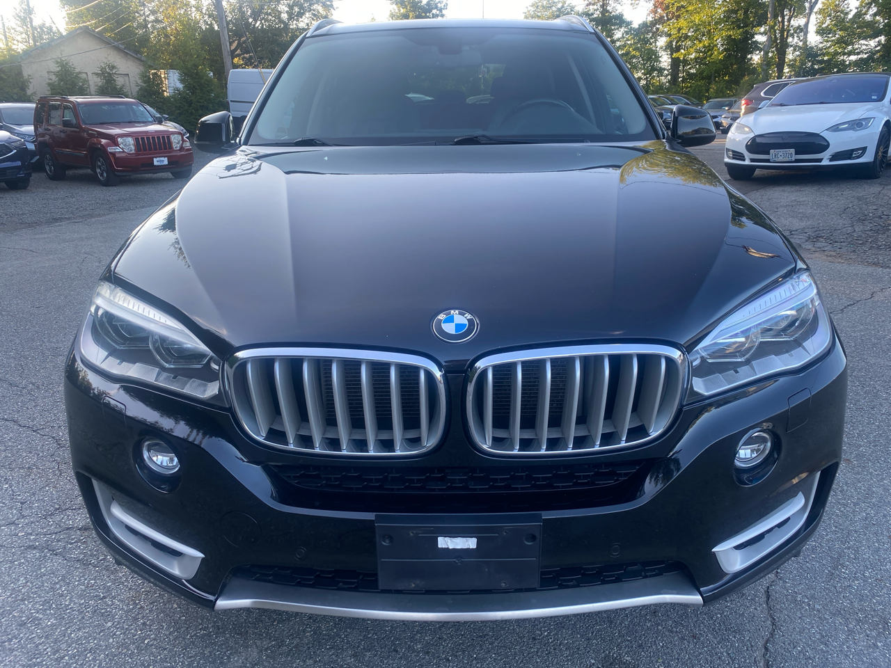2014 Bmw X5 xDrive35d photo 2