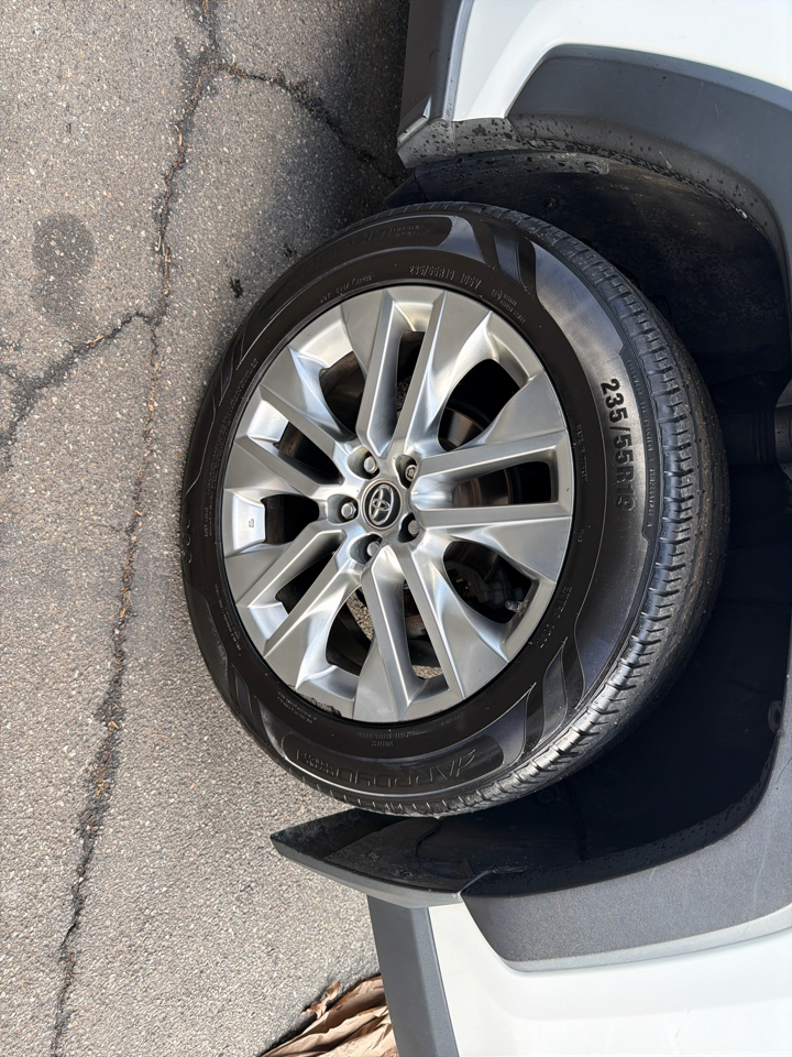 Toyota RAV4 XLE Premium AWD (Natl) 2019