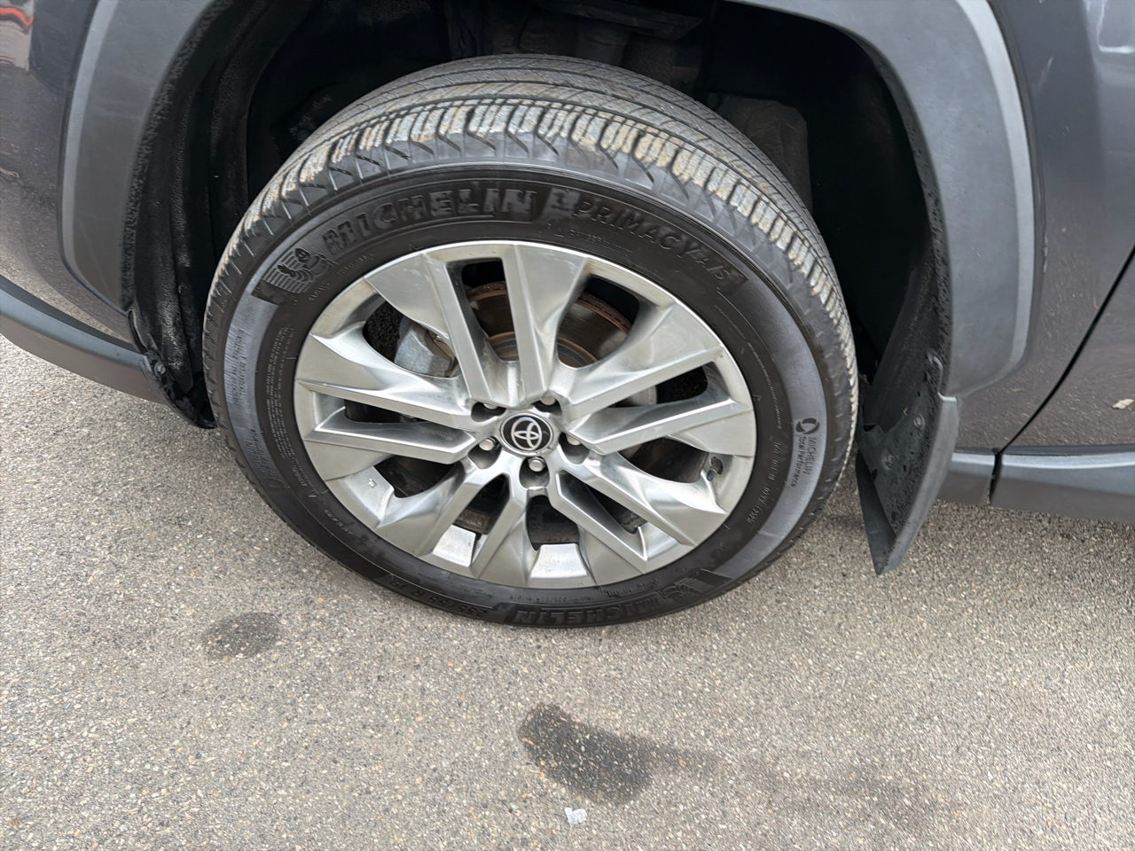 Toyota RAV4 XLE Premium AWD (Natl) 2023