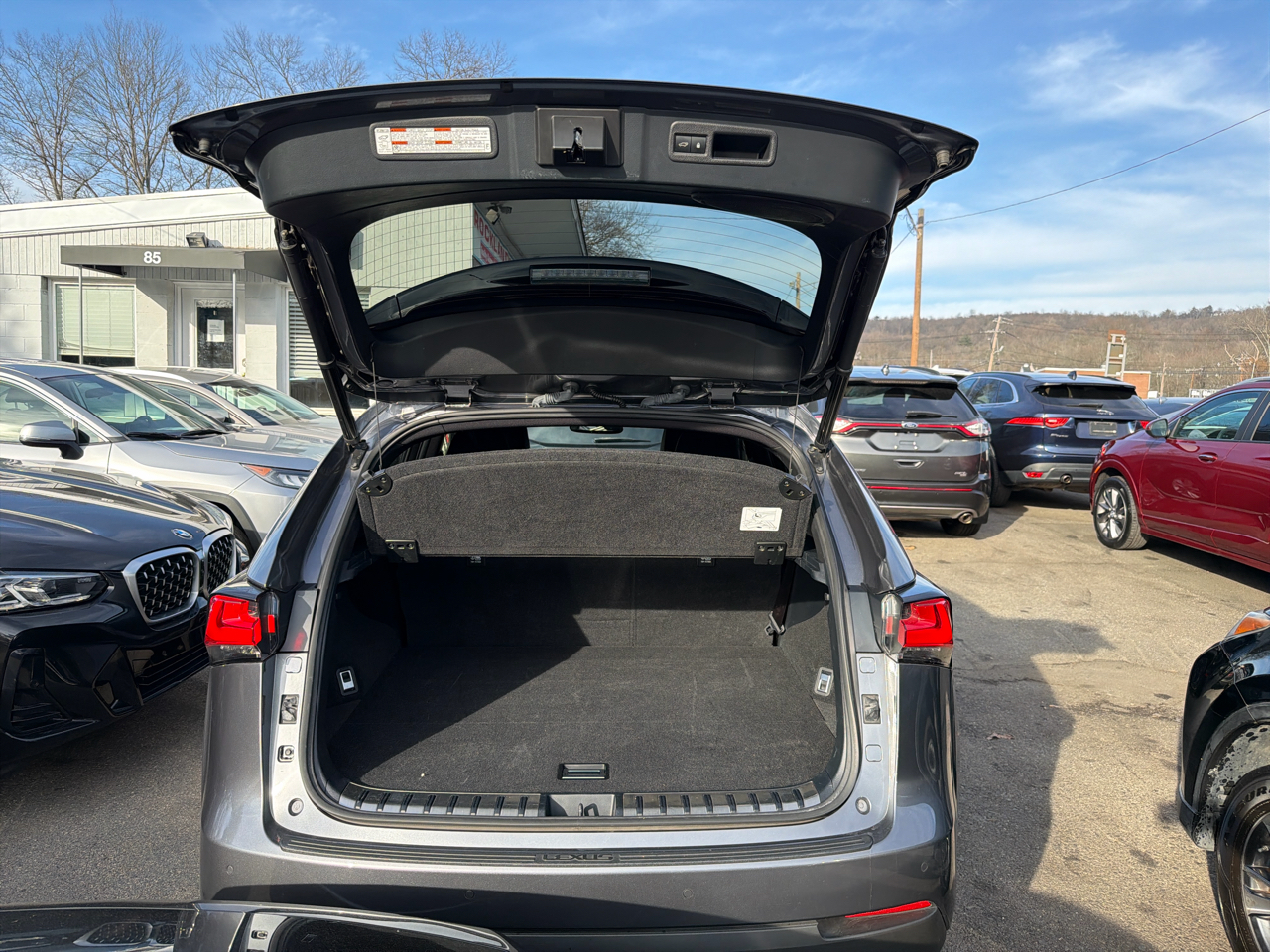 Lexus NX NX 300 F SPORT AWD 2021