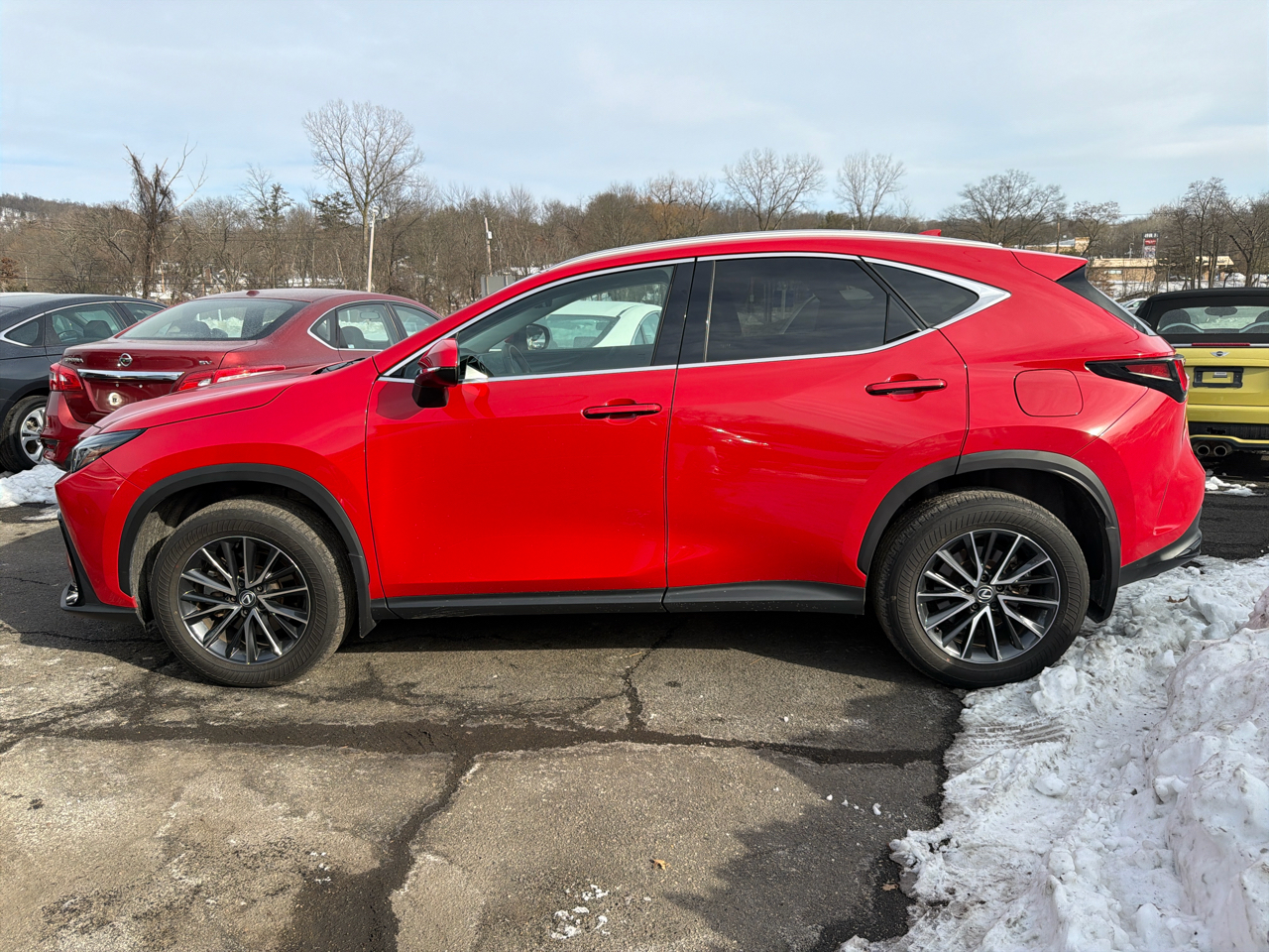 Lexus NX NX 350 Premium AWD 2024