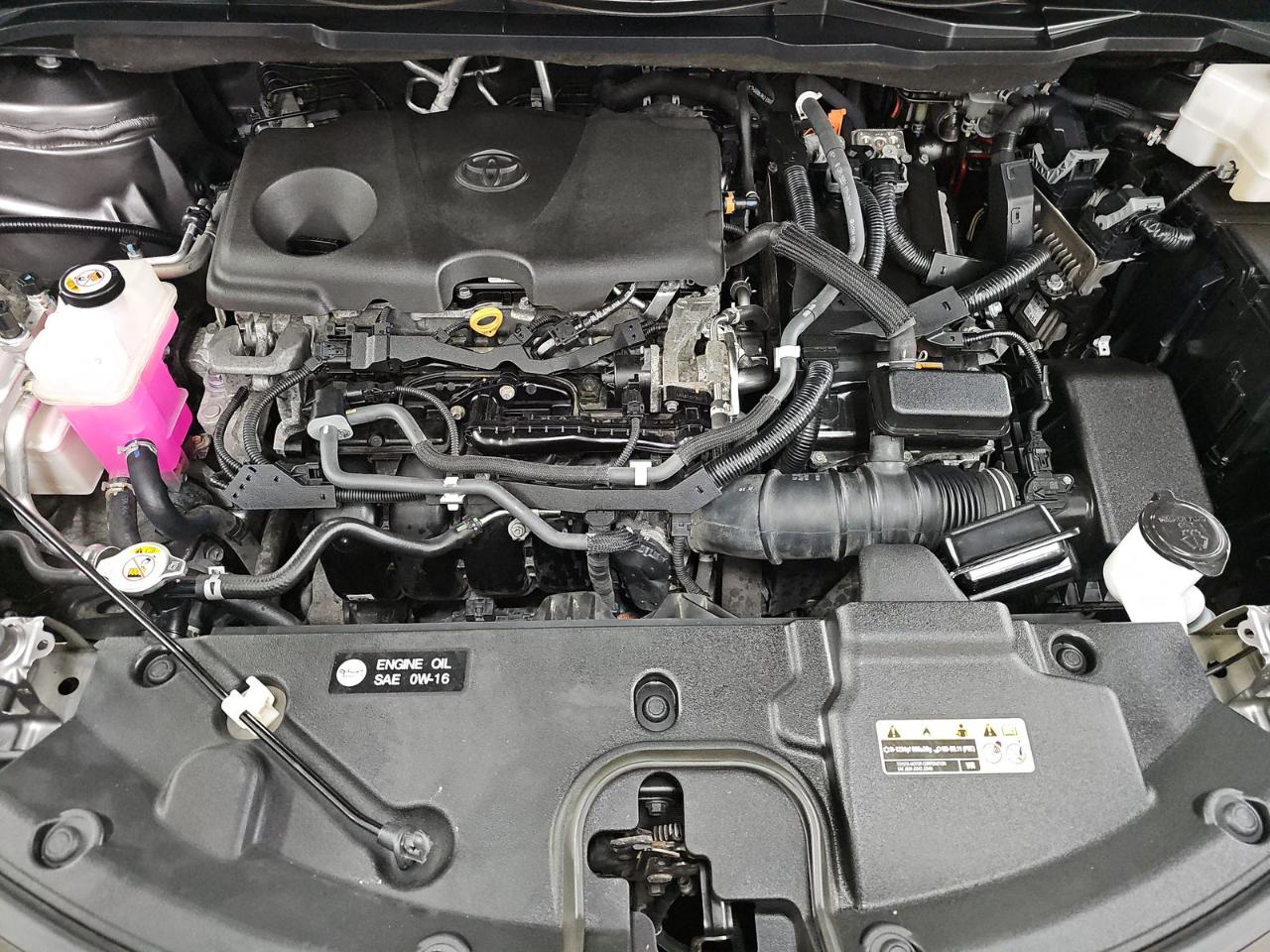 Toyota Sienna XLE FWD 8-Passenger (Natl) 2021