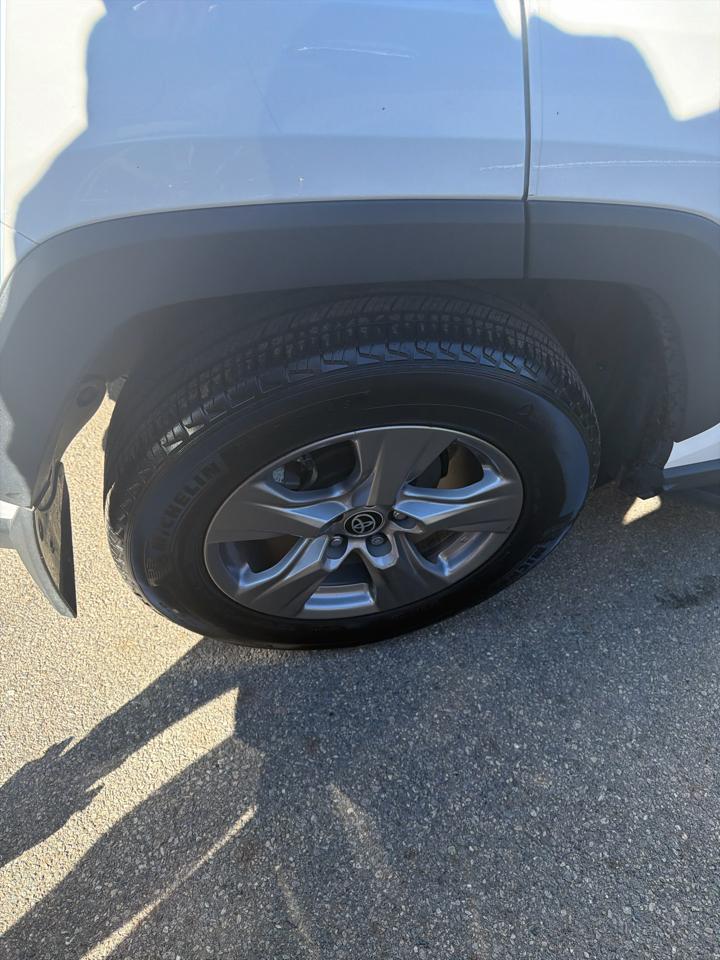 Toyota RAV4 XLE AWD (Natl) 2024