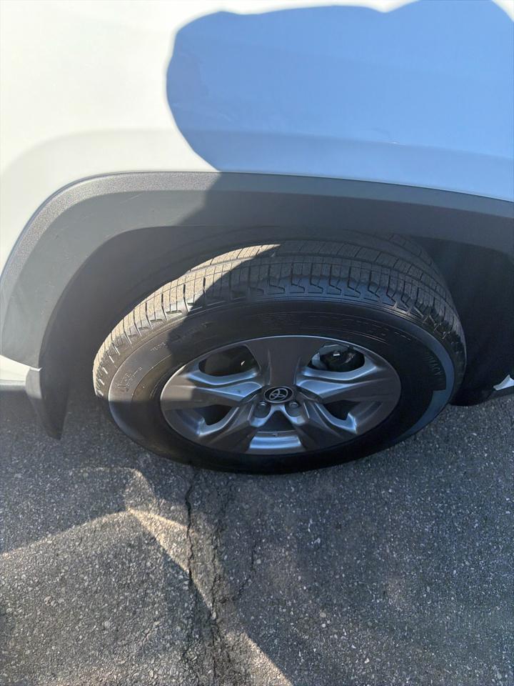 Toyota RAV4 XLE AWD (Natl) 2024