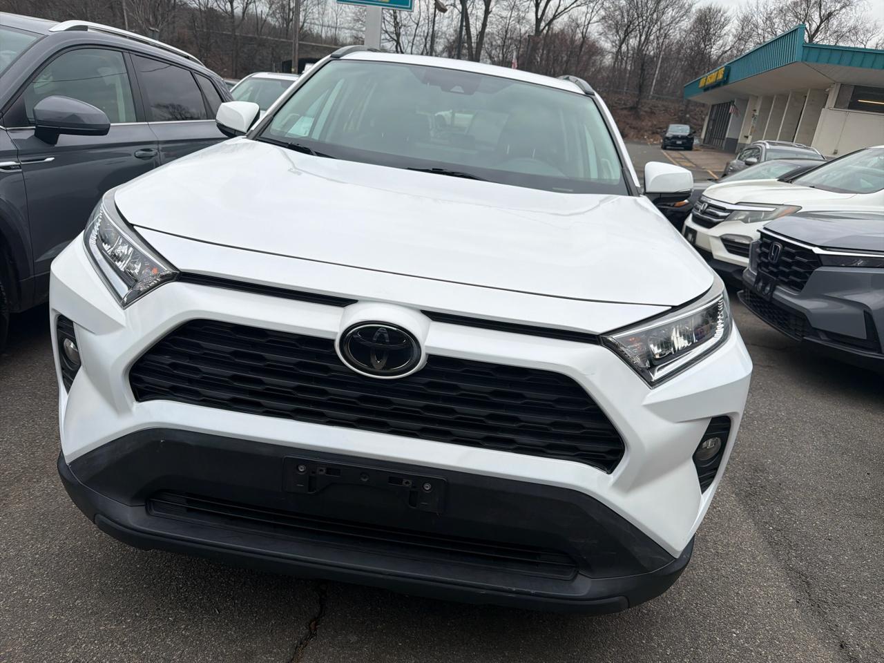 Toyota RAV4 XLE Premium AWD (Natl) 2019