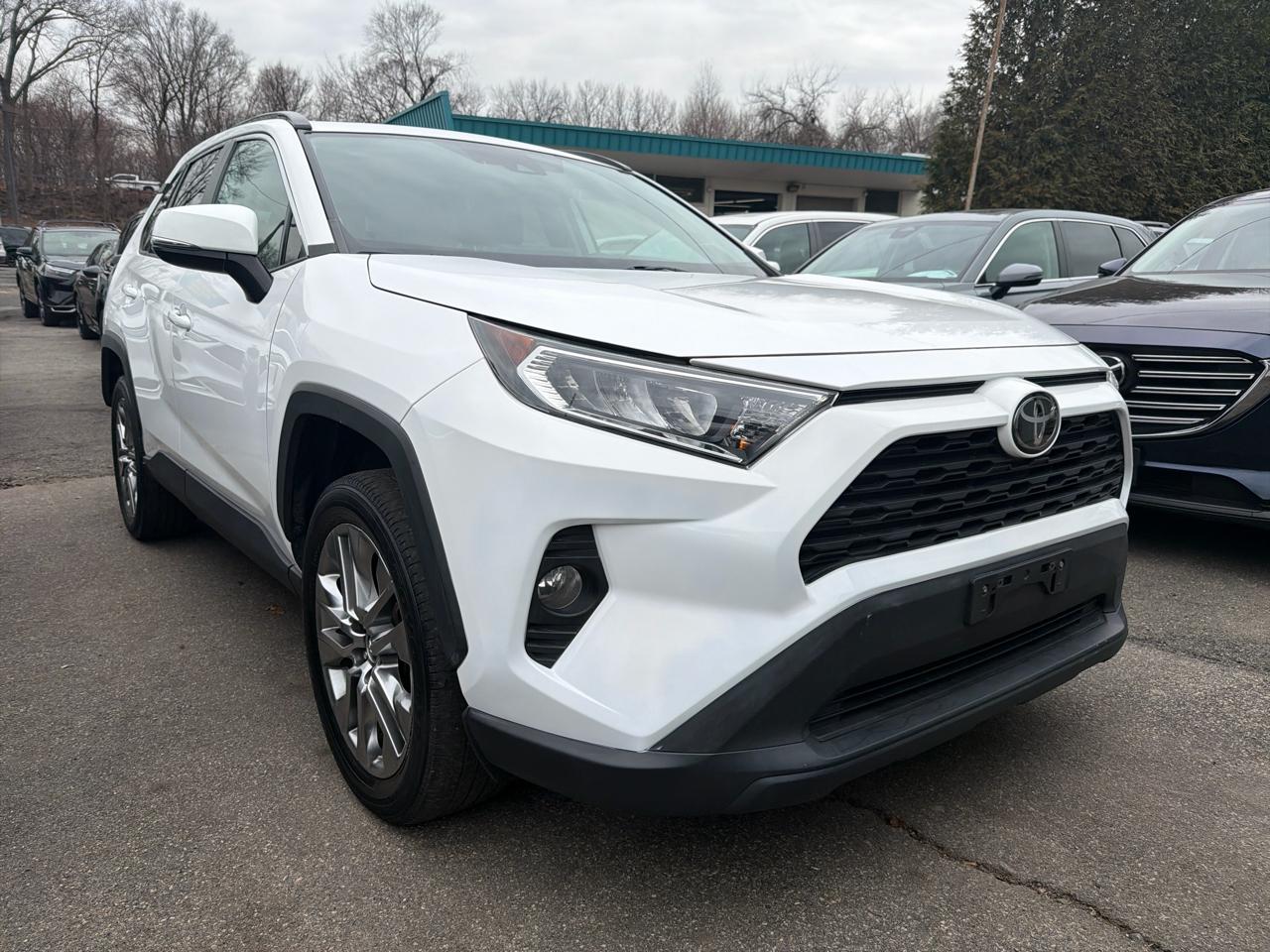 Toyota RAV4 XLE Premium AWD (Natl) 2019
