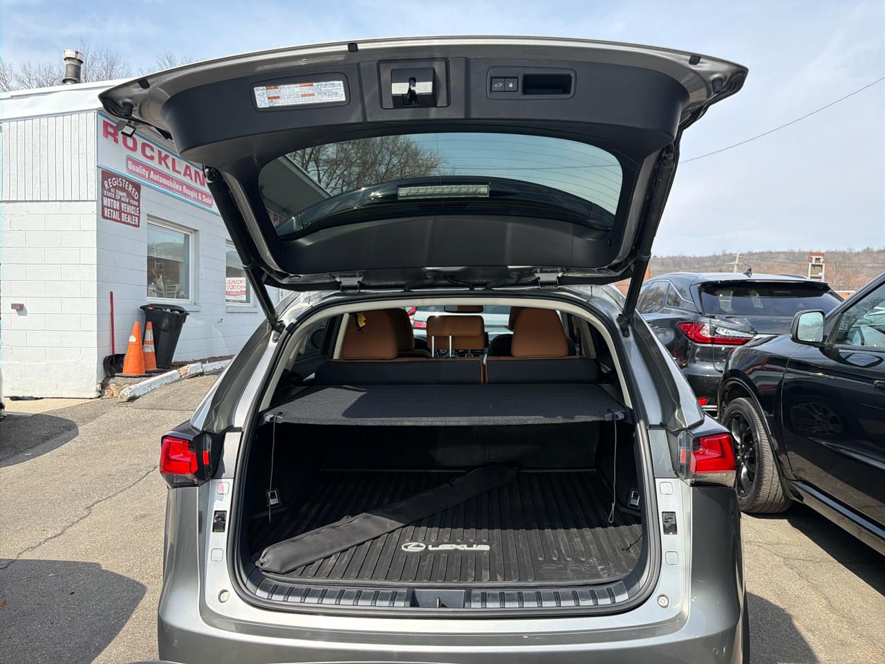 Lexus NX NX 300 AWD 2020