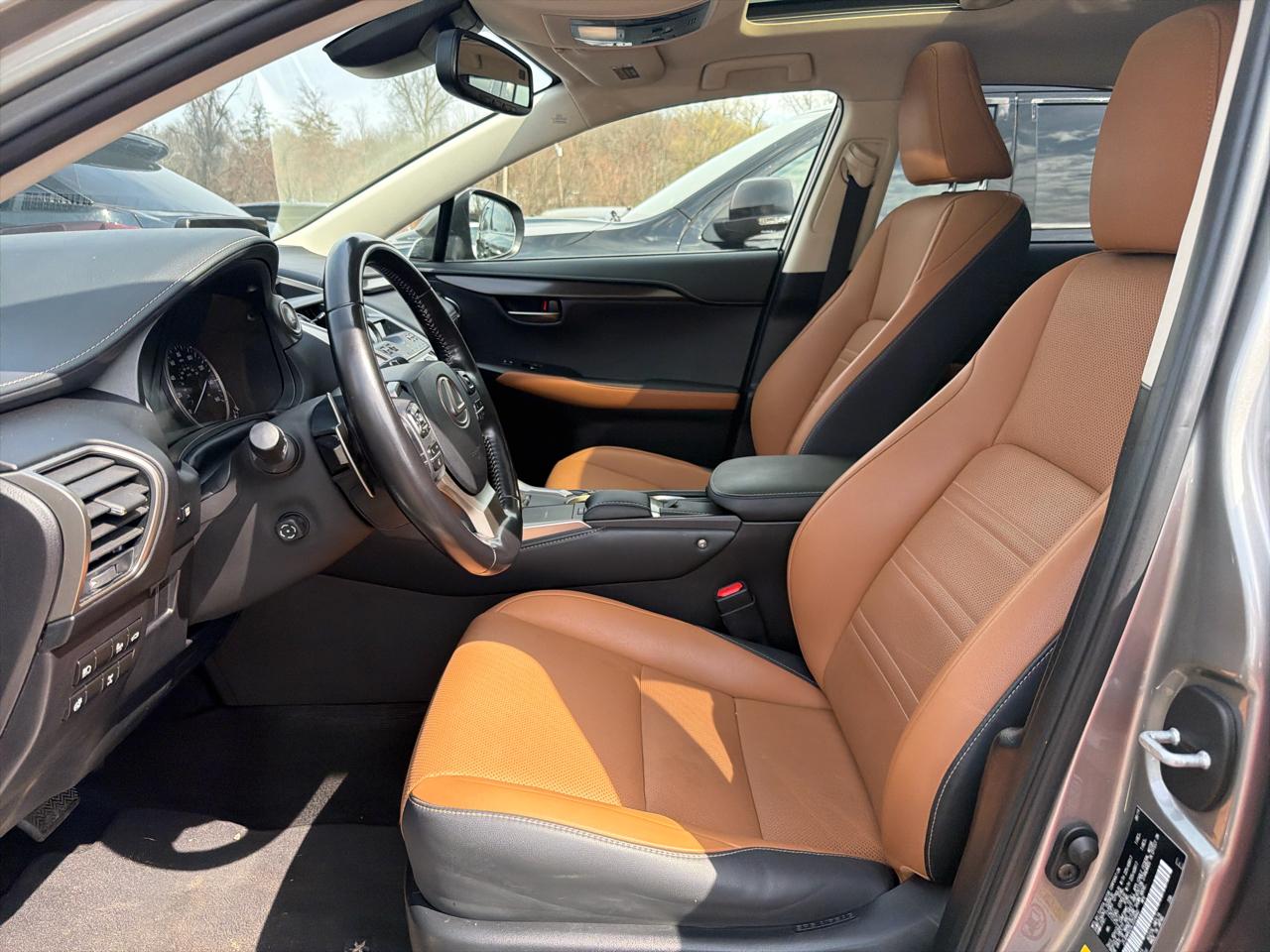 Lexus NX NX 300 AWD 2020