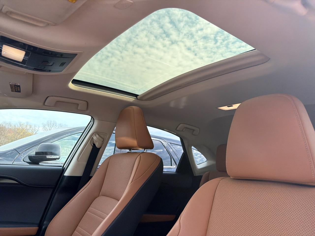 Lexus NX NX 300 AWD 2020