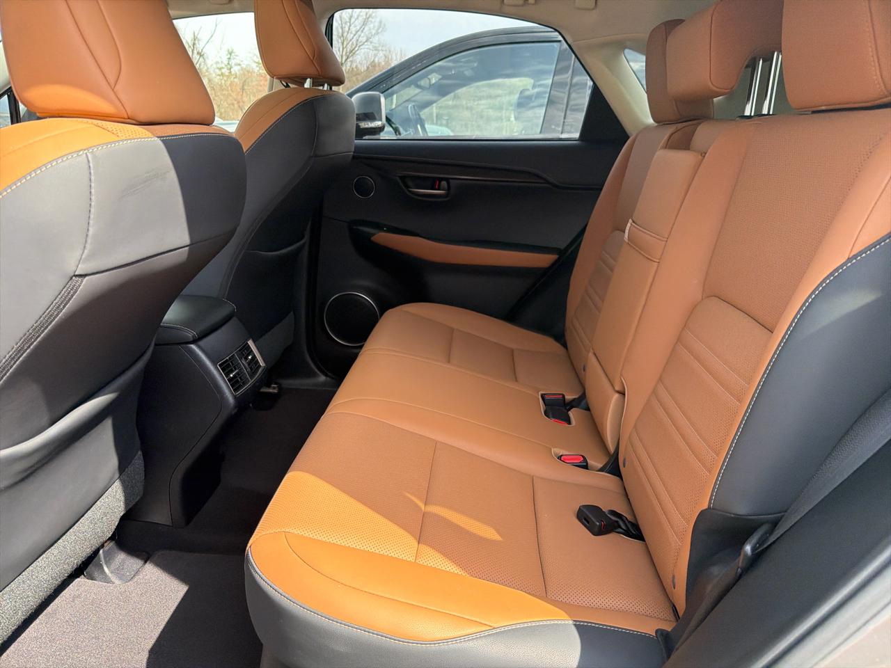 Lexus NX NX 300 AWD 2020