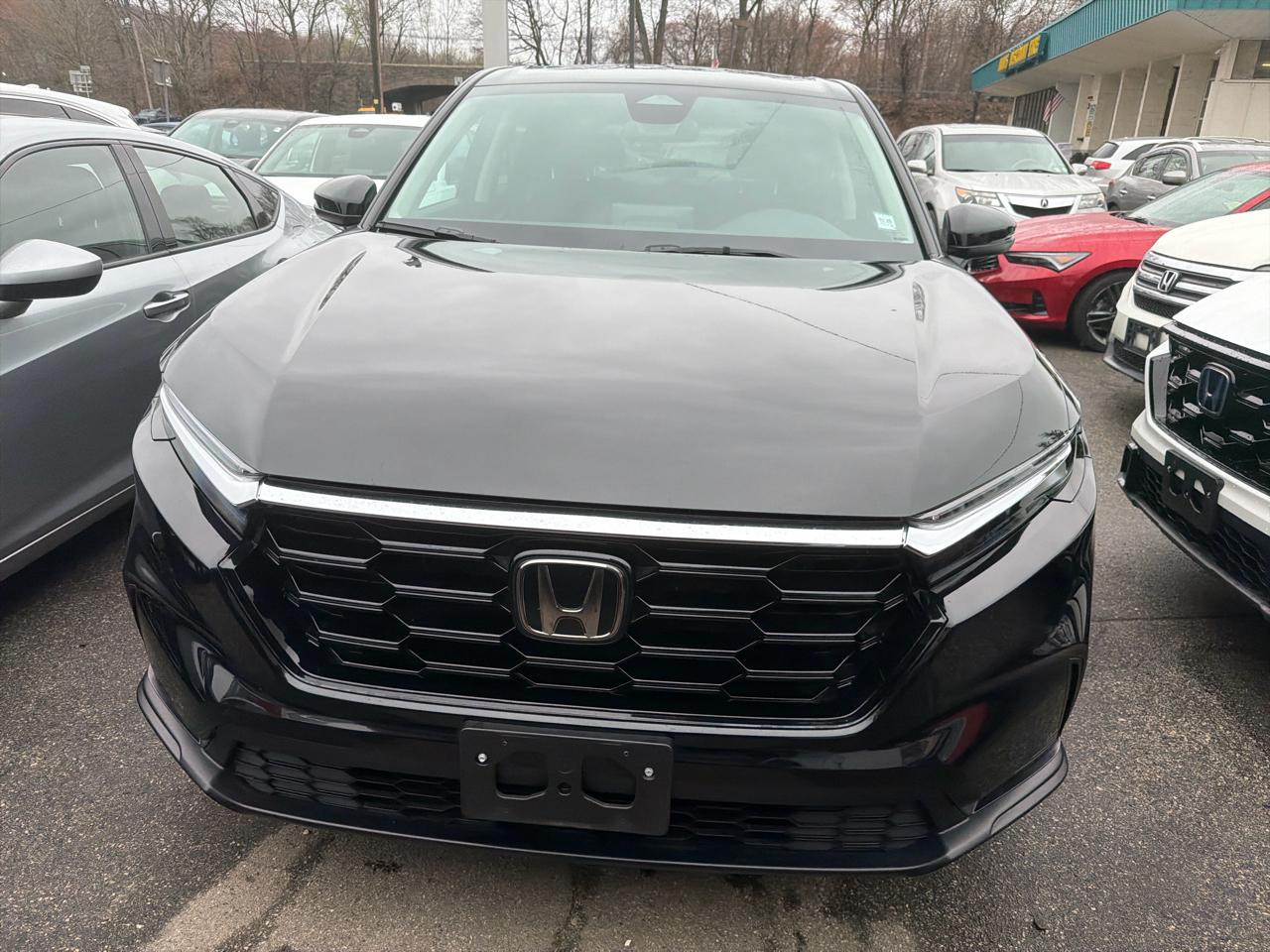 Honda CR-V EX AWD 2024