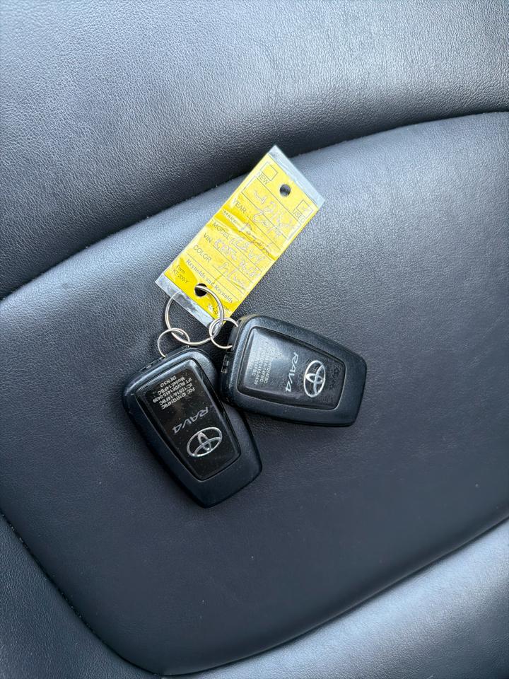 Toyota RAV4 XLE Premium AWD (Natl) 2019