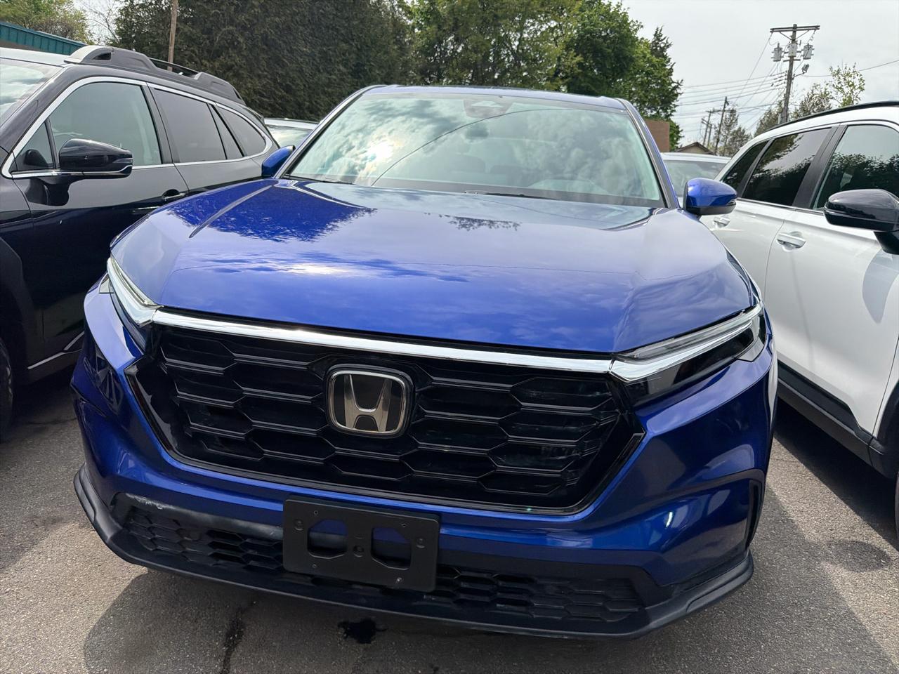 Honda CR-V EX-L AWD 2024