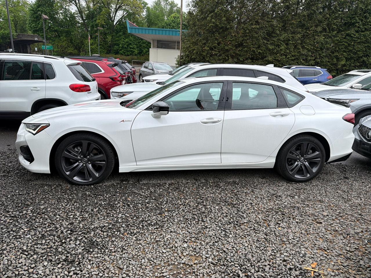 Acura TLX SH-AWD w/A-Spec Package 2022