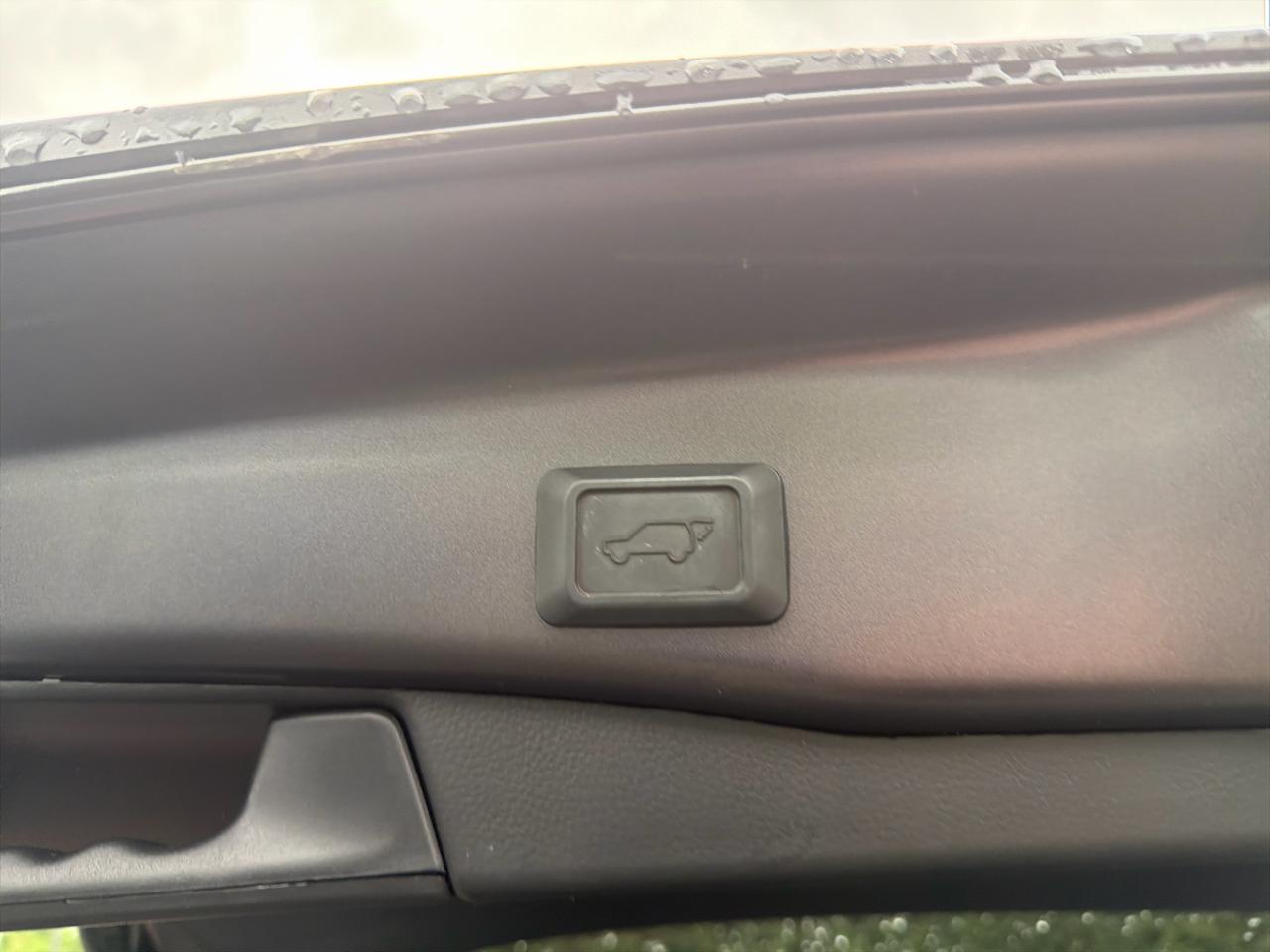 Toyota RAV4 XLE Premium AWD (Natl) 2023
