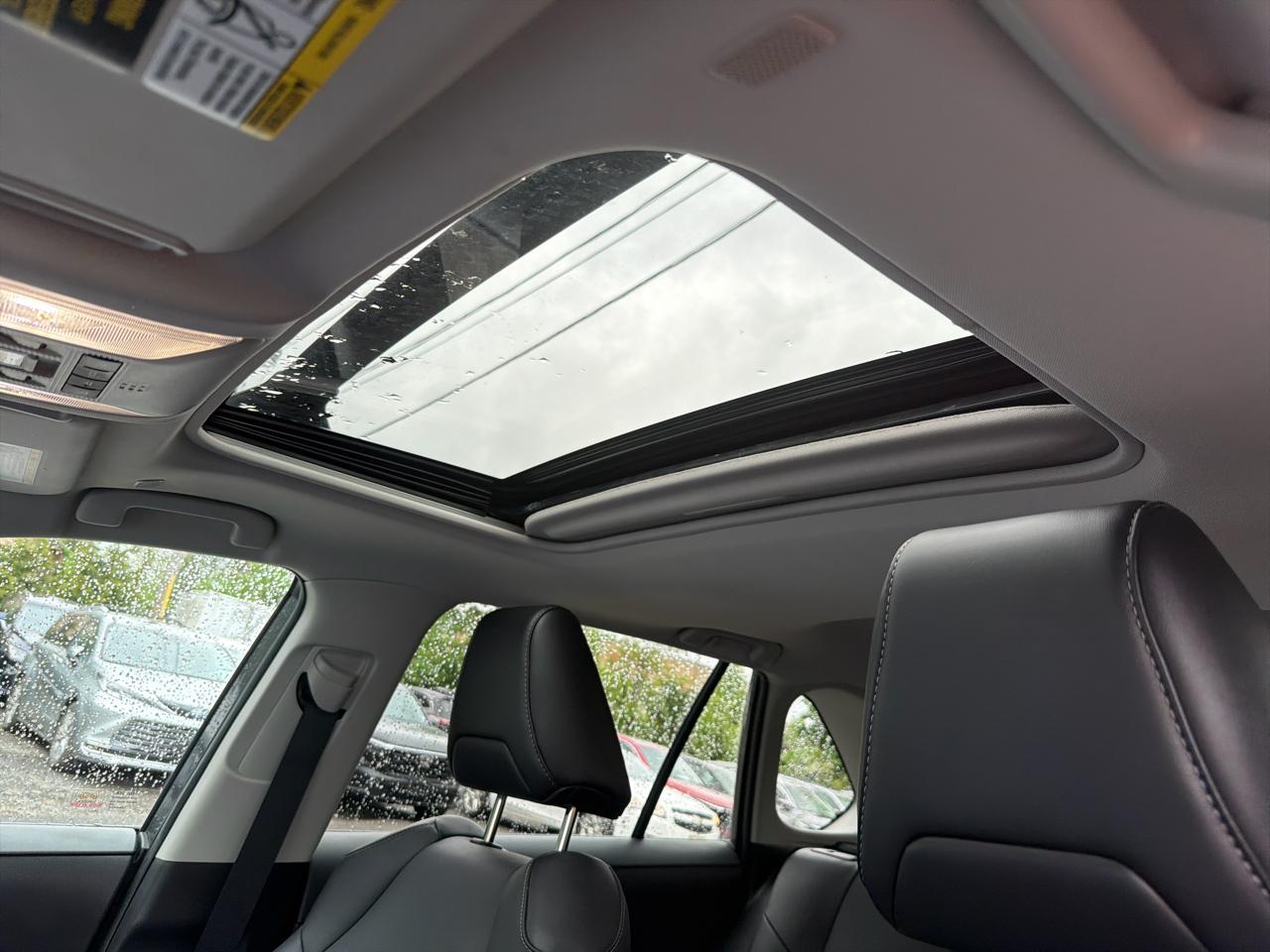 Toyota RAV4 XLE Premium AWD (Natl) 2023